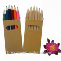 Ensemble de crayons de couleur en bois multicolore